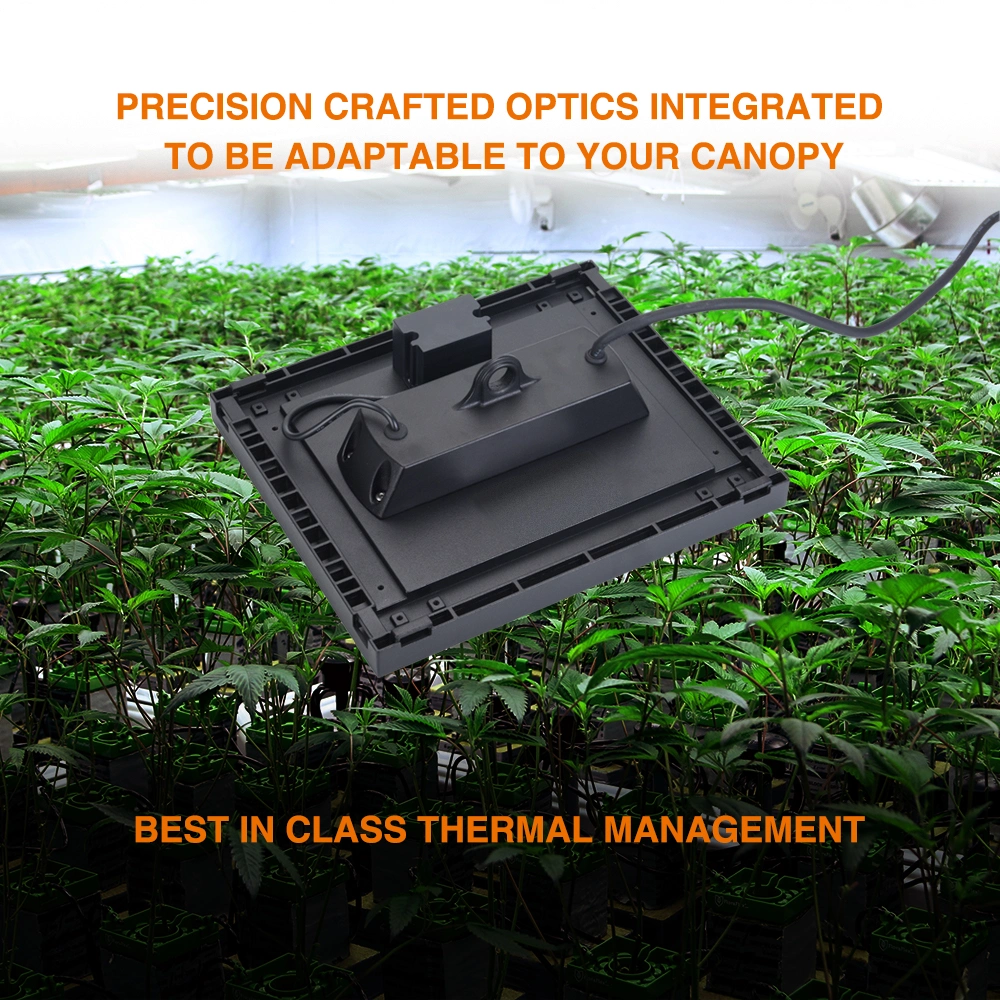 China Factory Wholesale 150W Waterproof LED Grow Light