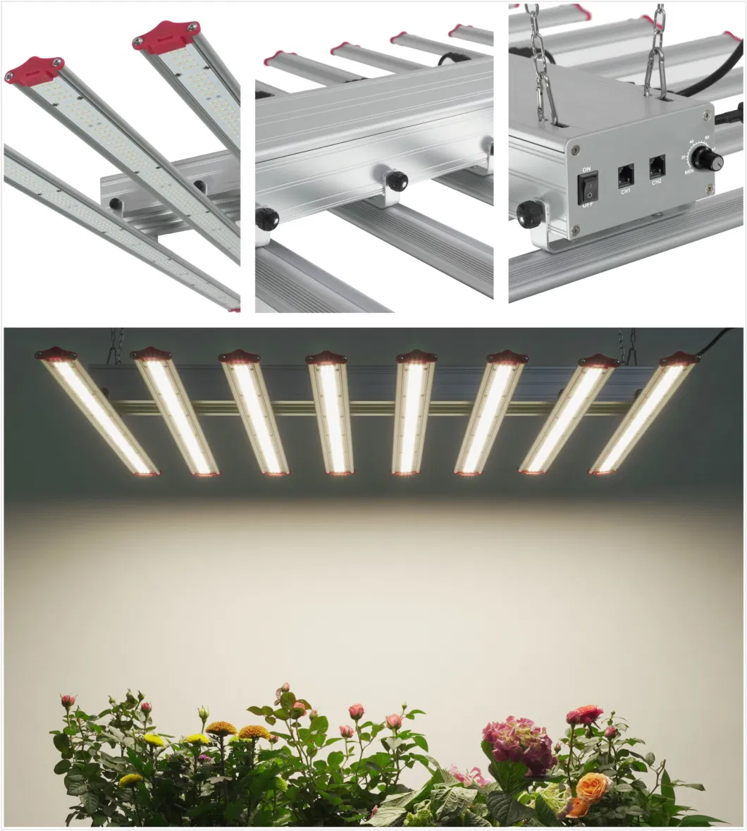 800W 1000W LED Grow Light Full Spectrum Spyder 10bars LED Plant Light