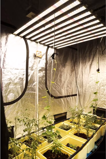 屋内植物栽培野菜用折りたたみ 240W 480W 600W フルスペクトル LED 成長ライト