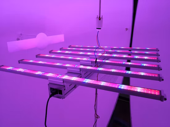 800W 240W 600W 成長屋内植物バーフルスペクトル水耕栽培サムスン 1000W LED 成長ライト