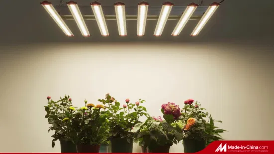 LED 植物育成ライト 1000W Spyder LED 植物育成ライト、Inventronics ドライバー付き