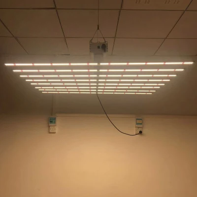 屋内植物栽培野菜用折りたたみ 240W 480W 600W フルスペクトル LED 成長ライト